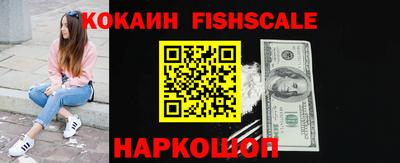 шишки Можга