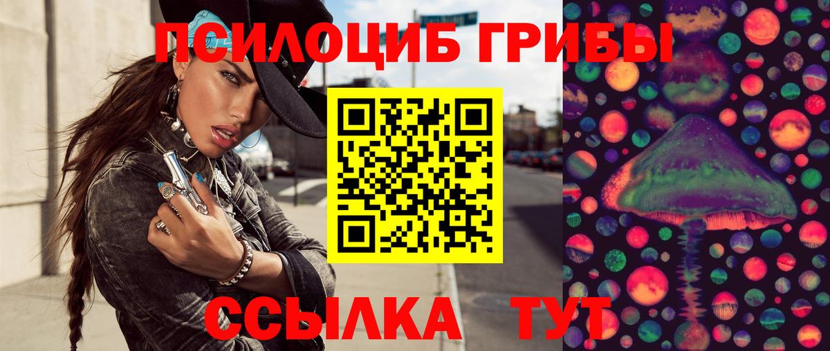Псилоцибиновые грибы Psilocybine cubensis  Вход с VPN  Псилоцибиновые грибы Psilocybe  Великий Устюг 