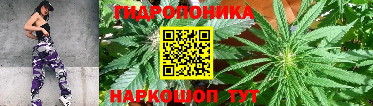Бошки марихуана VHQ Великий Устюг